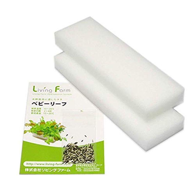 ベビーリーフ種付き培地シート 水耕栽培ベビーキットシリーズ シースリー 通販 Yahoo ショッピング