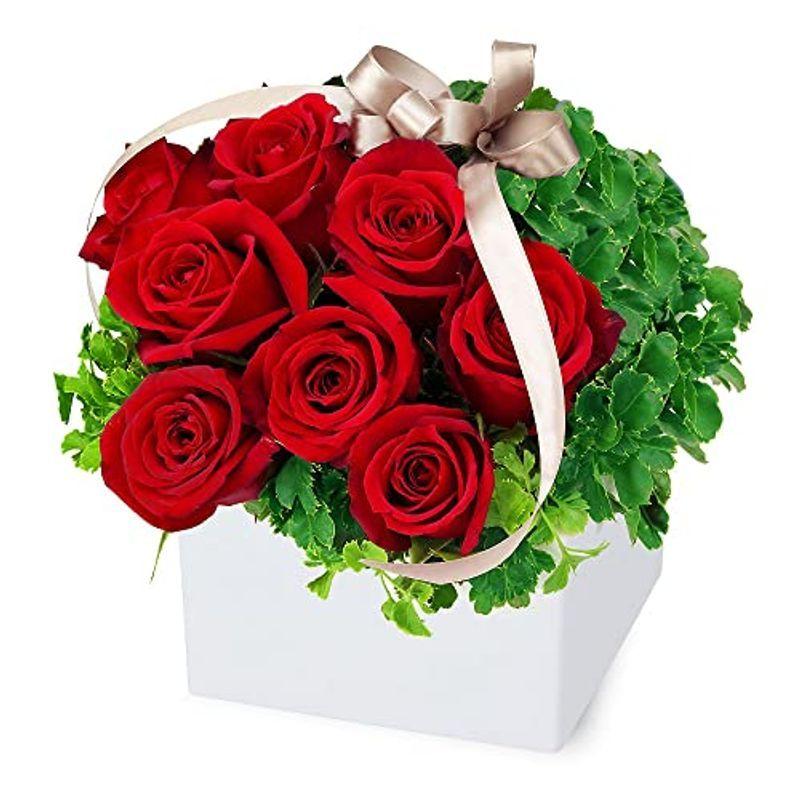 超歓迎された 誕生日 花キューピット Ya12 5161 12月の誕生花 赤バラ 赤バラのキューブアレンジメント お祝い お礼 プレゼント 記念 日 生花 Nontheistfriends Org