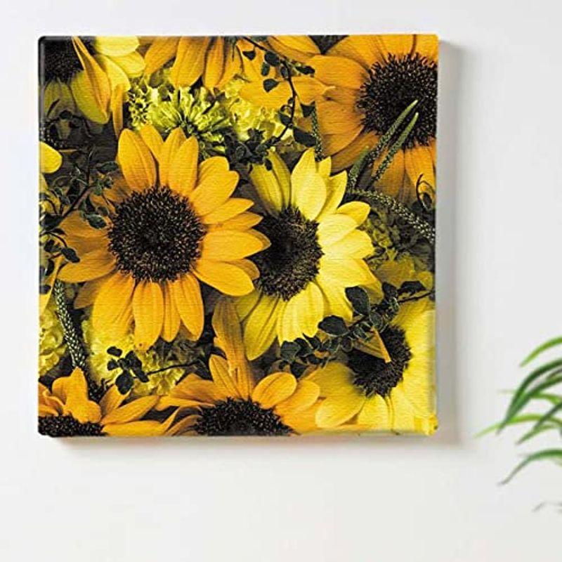 アートパネル イエロー系 30cm 30cm 黄色の花 マリーゴールド 向日葵 ひまわり ミモザ ダリア パダウ ナガミヒナゲシ ポピー I3h0n3iiox Www Saint Venant Fr