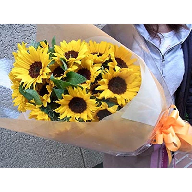 フラワーギフト ヒマワリ本の花束 お誕生日お祝 記念日などに 5k5toliekl Superopticas Com