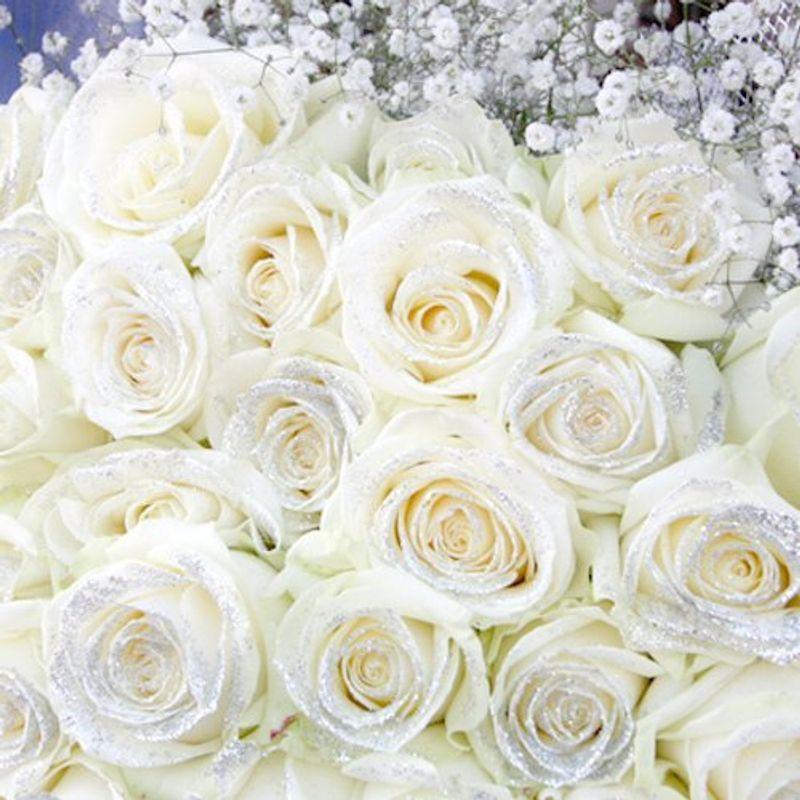 買取 名古屋 キラキララメ付き白いバラ50本とキラキラ白いかすみ草の花束 クリスマス お誕生日 お祝いにお届け 花言葉 恋の誓い キラキラワイトローズ 005 シースリー 通販 Yahoo ショッピング 買い割 Sbdkab Go Id