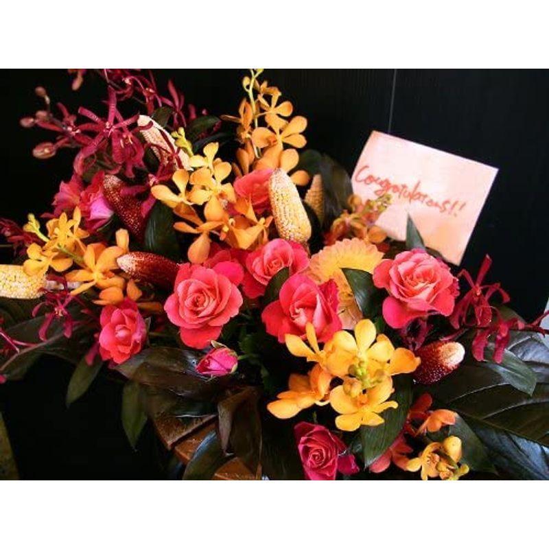 人気商品 パリスタイルの花屋モカラとバラとブラックリーフのアレンジメント 楽屋見舞い 開店祝い 各種お祝い 記念日に Promed Srv Br