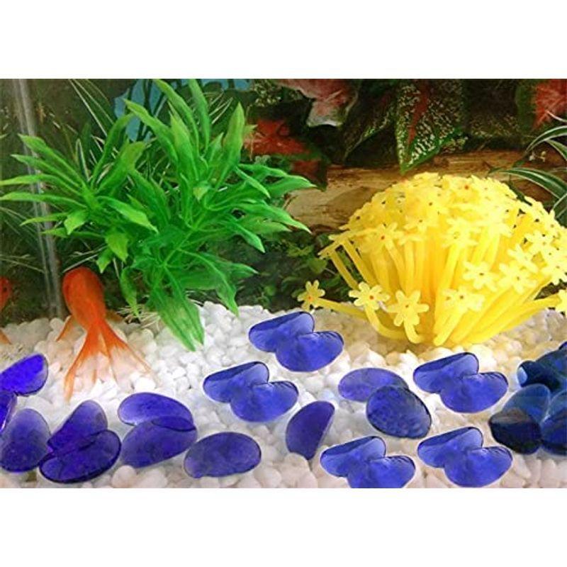 市場 ｊｕｎ プラチナリーフサンド 超極細粒 2kg 天然サンゴ砂 No 0 熱帯魚