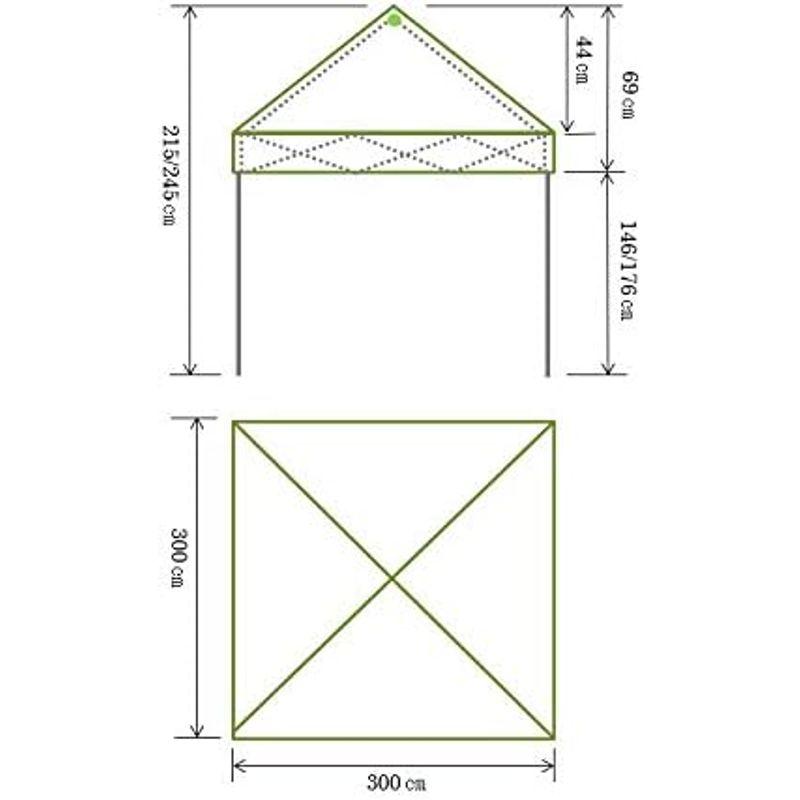 North Eagle(ノースイーグル) キャノピー ワンタッチキャノピー300? NE1238 Eagle ノースイーグル キャノピー ワンタッチキャノピー300 NE1238 　