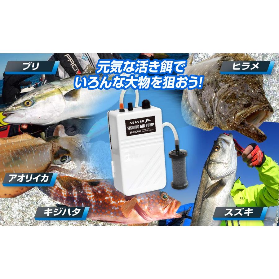 エアーポンプ 釣り 強力 電池式 エアーストーン マイクロバブル エアーポンプ 釣り 強力 電池式 エアーストーン マイクロバブル