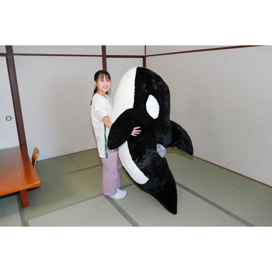 すてれっぱつシャチぬいぐるみ : 鴨川シーワールドオルカショップ