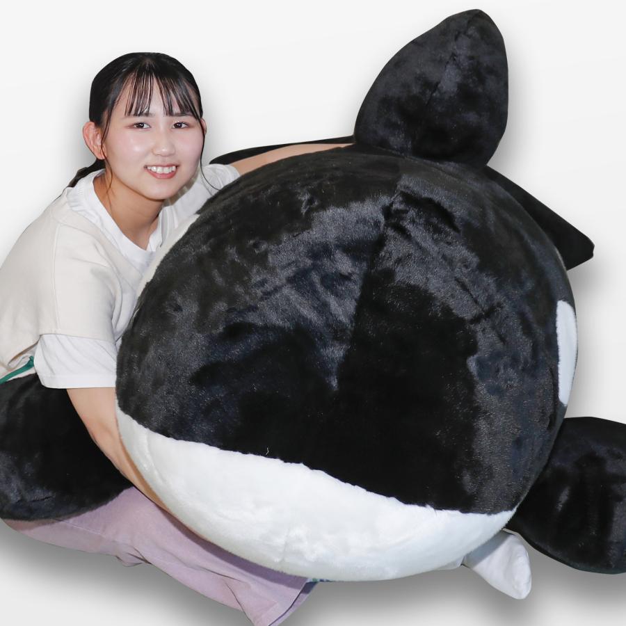 BIGシャチぬいぐるみ : 鴨川シーワールドオルカショップ - 通販 BIGシャチぬいぐるみ : 鴨川シーワールドオルカショップ - 通販