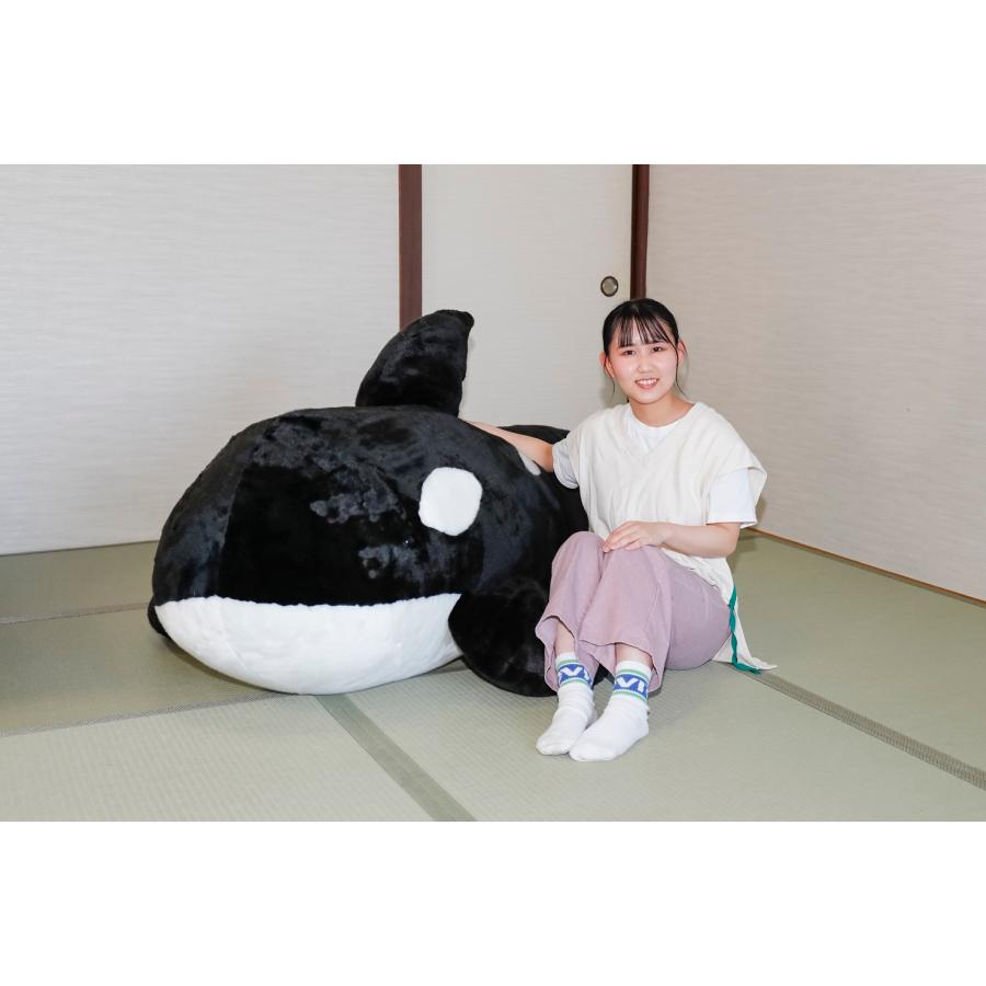 BIGシャチぬいぐるみ : 鴨川シーワールドオルカショップ - 通販