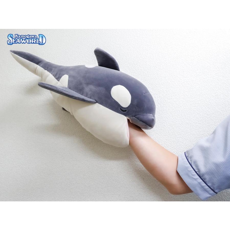 鴨川シーワールドオリジナルかむかむ抱き枕「シャチ・ベルーガ