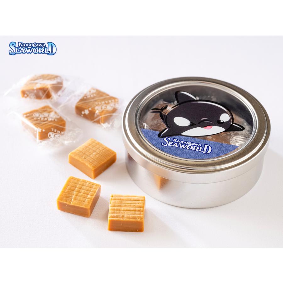 鴨川シーワールドオリジナル丸缶キャラメル「シャチ」（マグネット付
