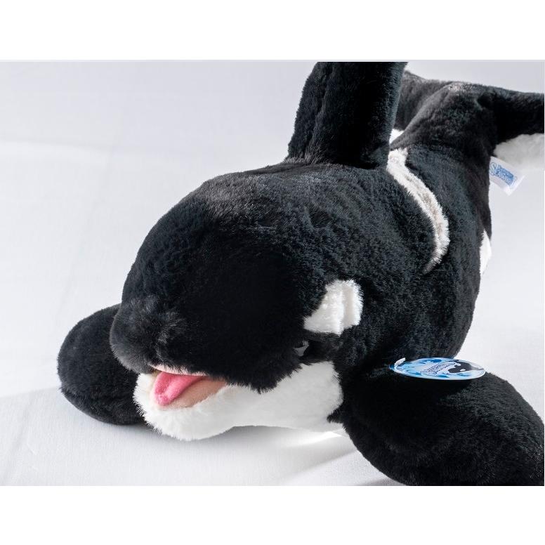 鴨川シーワールドオリジナルふわふわシャチぬいぐるみ M : 鴨川