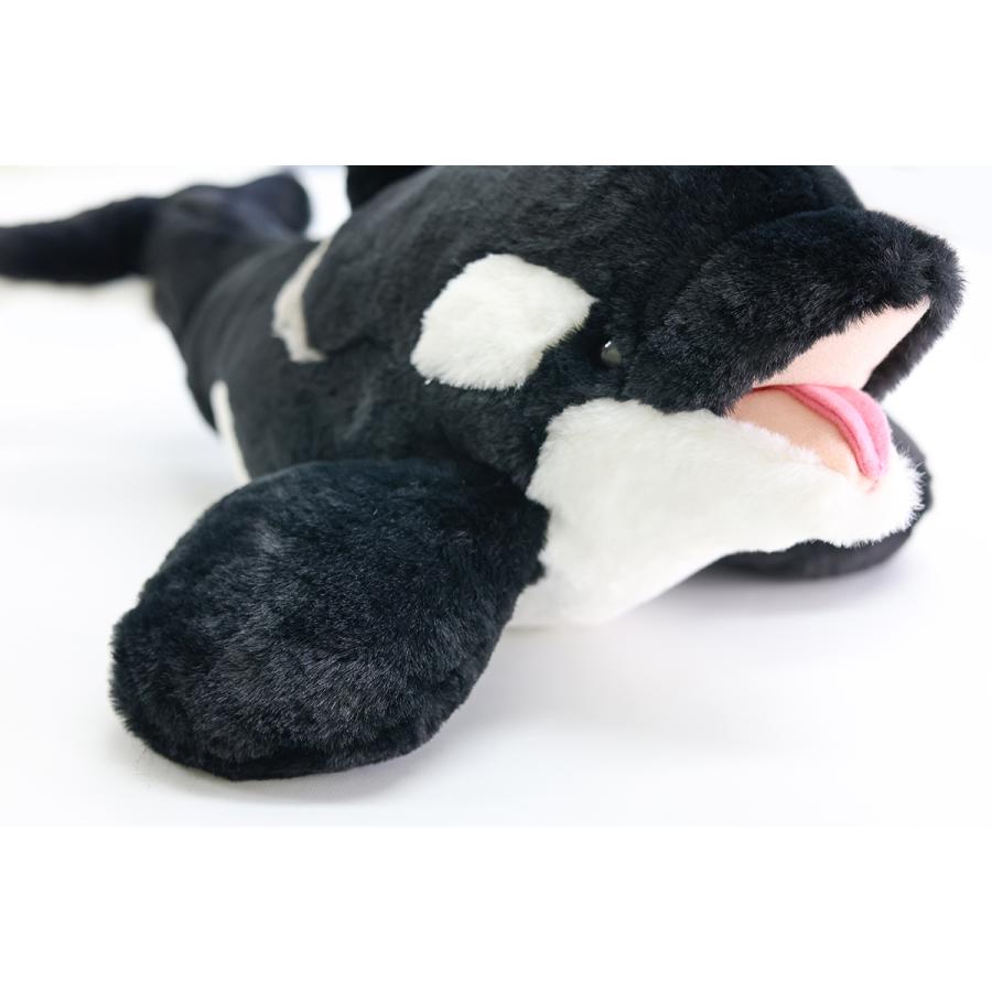 鴨川シーワールドオリジナル ふわふわシャチぬいぐるみ M : 鴨川シー