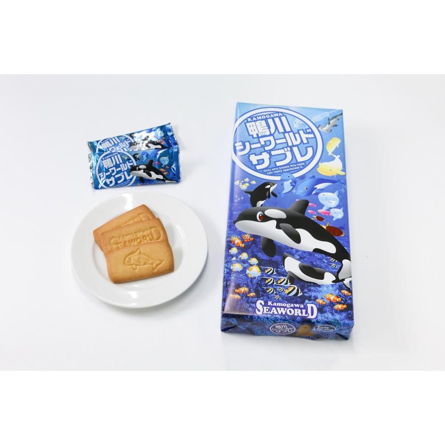 鴨川シーワールド パンフレット　中古 鴨川シーワールド パンフレット 写真集の通販 by kachan's shop