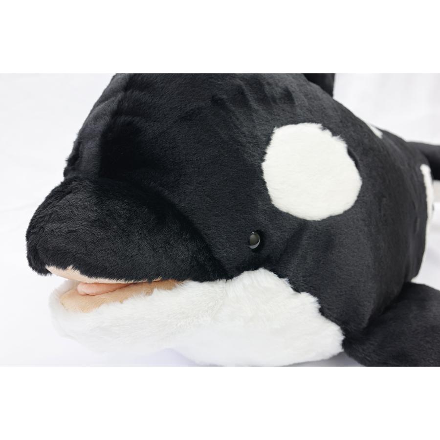 鴨川シーワールド シャチぬいぐるみ 鴨川シーワールドオリジナルふわふわシャチぬいぐるみ L : 鴨川