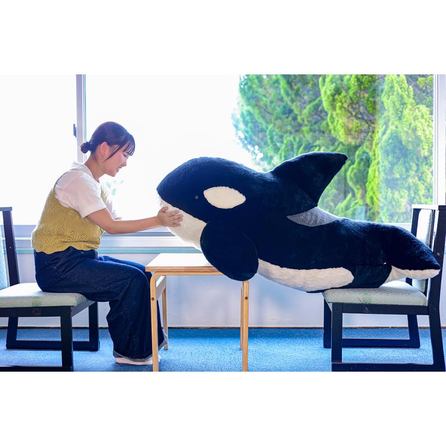 55周年限定】てっぱつシャチぬいぐるみ : 鴨川シーワールド