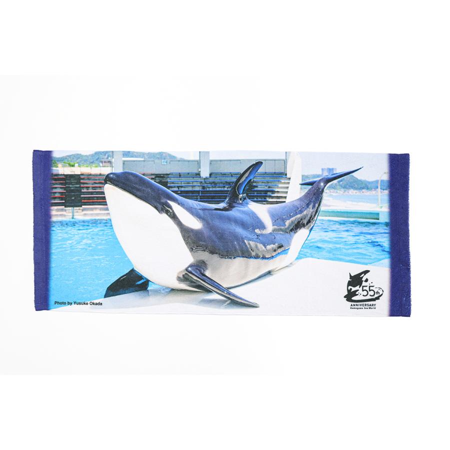 鴨川シーワールドオリジナル 55周年プリントフェイスタオル