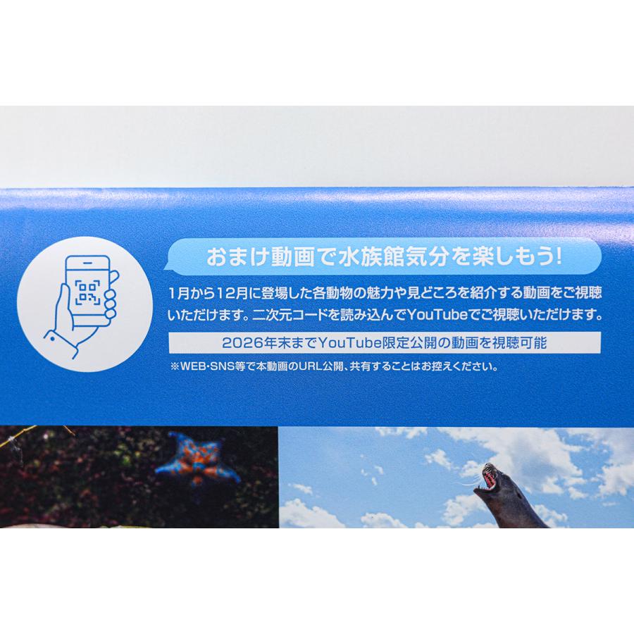 【残りわずか！】2026年 鴨川シーワールドオリジナルカレンダー |  | 02