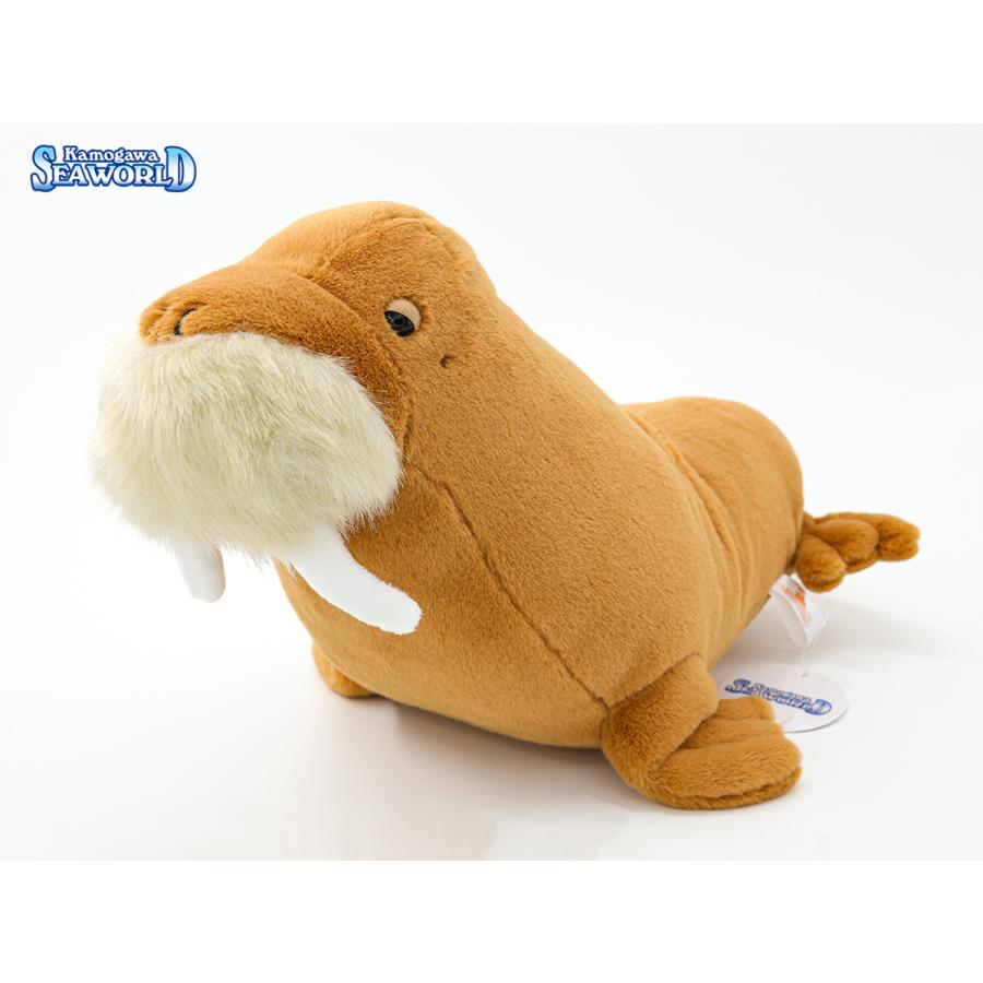 鴨川シーワールド オリジナルセイウチぬいぐるみ : 鴨川シーワールド