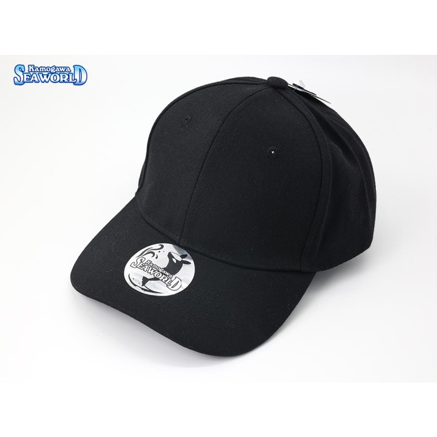 会場限定販売】TYLA ロゴ刺繍 ダメージ加工 キャップ 黒 オマケ付き