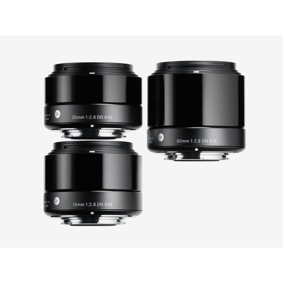 SIGMA 単焦点望遠レンズ Art 60mm F2.8 DN ブラック ソニーE用 SIGMA 単焦点望遠レンズ Art 60mm F2.8 DN ブラック ソニーE用