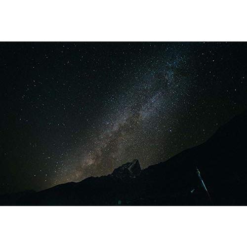SAMYANG 単焦点広角レンズ 14mm F2.8 キヤノン EF用 フルサイズ SAMYANG 単焦点広角レンズ 14mm F2.8 キヤノン EF用 フルサイズ