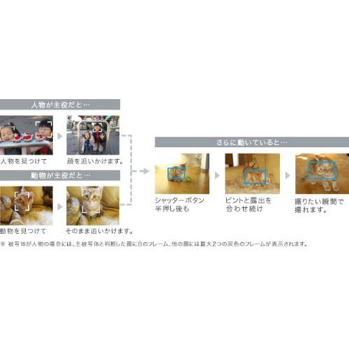 Canon デジタルカメラ IXY 410F ブラック IXY410F(BK) : セバス Canon デジタルカメラ IXY 410F ブラック IXY410F(BK) : セバス