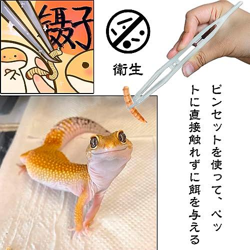 給餌ピンセット 爬虫類ピンセット セーフティピンセット 発光 給餌ピンセット 夜間に明るい 爬虫類の給餌、テラピン、トカゲ、カエル、給餌用具暗闇｜sebas-store｜02