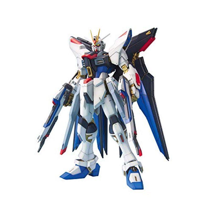完売 Mg 色分け済みプラモデル 1 100スケール ストライクフリーダムガンダム Destiny 機動戦士ガンダムseed ロボット Populationmalawi Org
