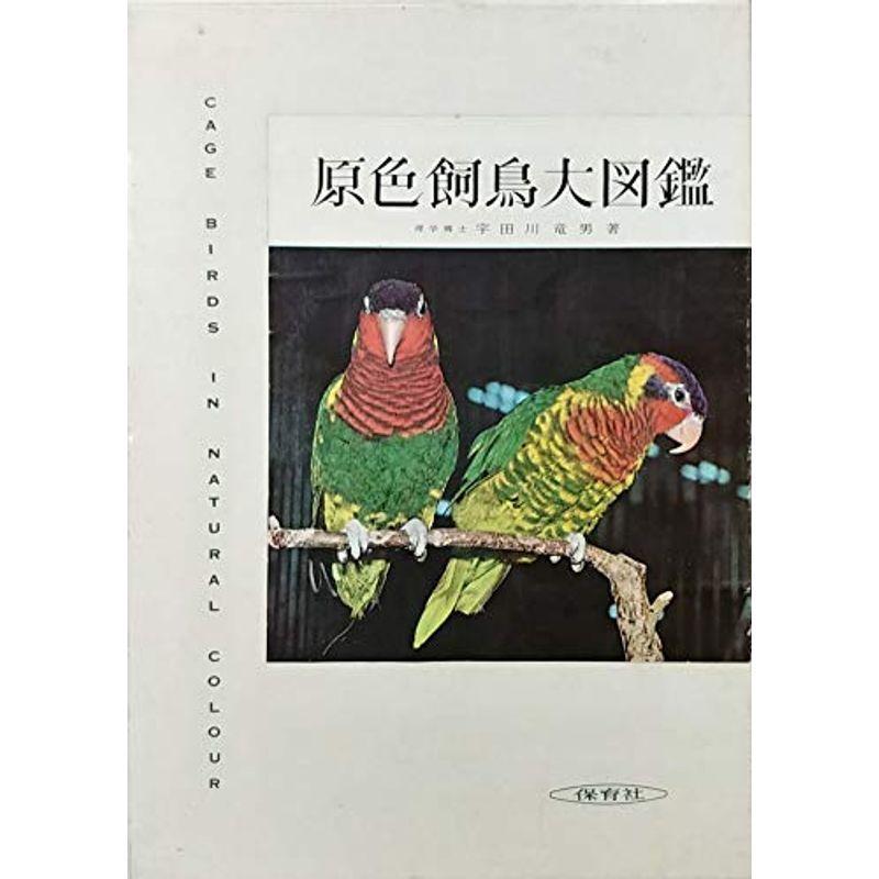原色飼鳥大図鑑 保育その他 (1961年) 歴史 心理 教育 20220420222508 00280us (1961年) 20220420222508 00280usならショッピング!ランキングや口コミも豊富なネット通販。更にお得なPayPay残高も!スマホアプリも充実で毎日どこからでも気になる商品をその場でお求め ... 原色飼鳥大図鑑 保育その他 (1961年) 歴史 心理 教育 20220420222508 00280us (1961年) 20220420222508 00280usならショッピング!ランキングや口コミも豊富なネット通販。更にお得なPayPay残高も!スマホアプリも充実で毎日どこからでも気になる商品をその場でお求め ...