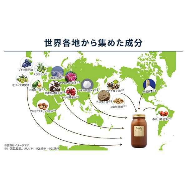 保坂流 Beauty トリートメントスパ 入浴 バスタイム : Secca - 通販