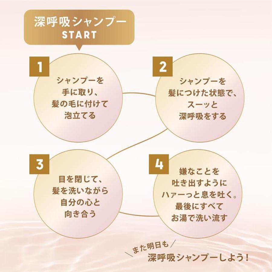 【セット買い】 LUX(ラックス) ルミニーク バランス ダメージリペア＆カラーケア シャンプー&コンディショナー(トリートメント) 詰め替え用セット 350g+350g |  | 02