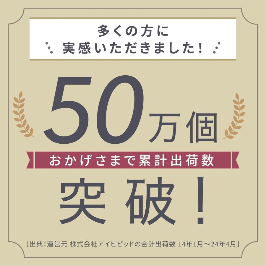 LINKA リンカ イオン フェイススチーマー アロマオイル セット コンパクト UVC除菌 スチーム美顔器 水道水対応 |  | 10