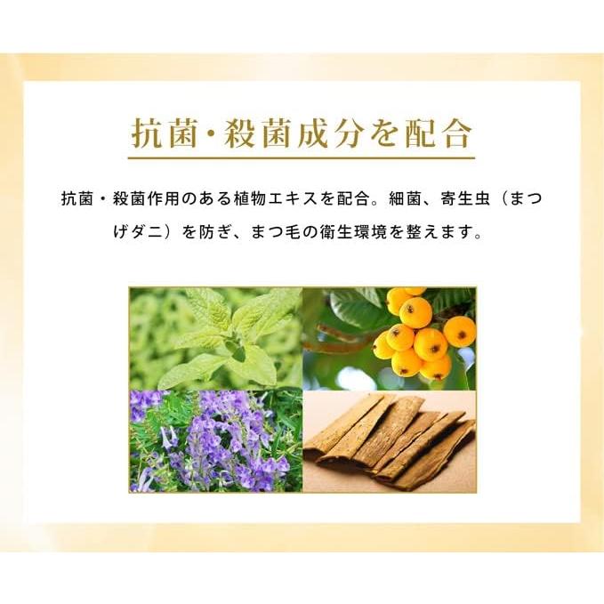 フェニックス アイ カールアップ コーティング 8ml×2個セット まつげ美容液 まつ毛 睫毛 オデット 正規品 サロン専売品 |  | 06