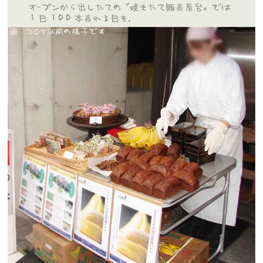 バナナナッツパウンドケーキ 1本 バナナとくるみたっぷり ずっしり詰まったパウンドケーキ 国産小麦 Pound Bnp セカンドハウス ヤフー店 通販 Yahoo ショッピング