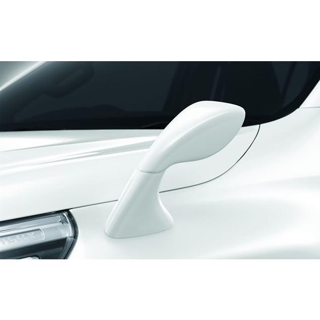 ハイラックス 在庫処分 フェンダーミラー 6X1 オキサイドブロンズ