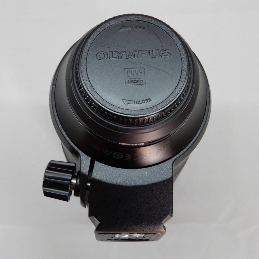 M.ZUIKO OLYMPUS DIGITAL ED 100-400mm F5.0-6.3 IS 超望遠ズーム