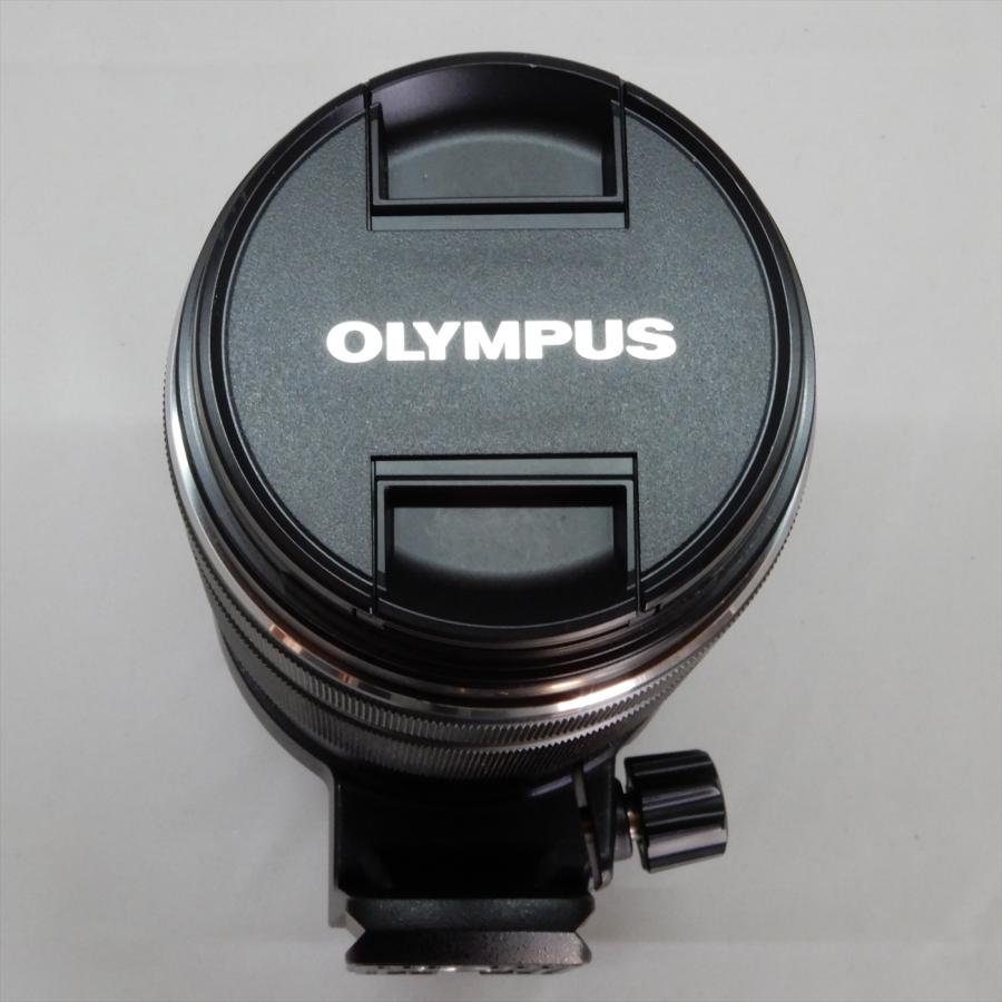 M.ZUIKO OLYMPUS DIGITAL ED 100-400mm F5.0-6.3 IS 超望遠ズーム