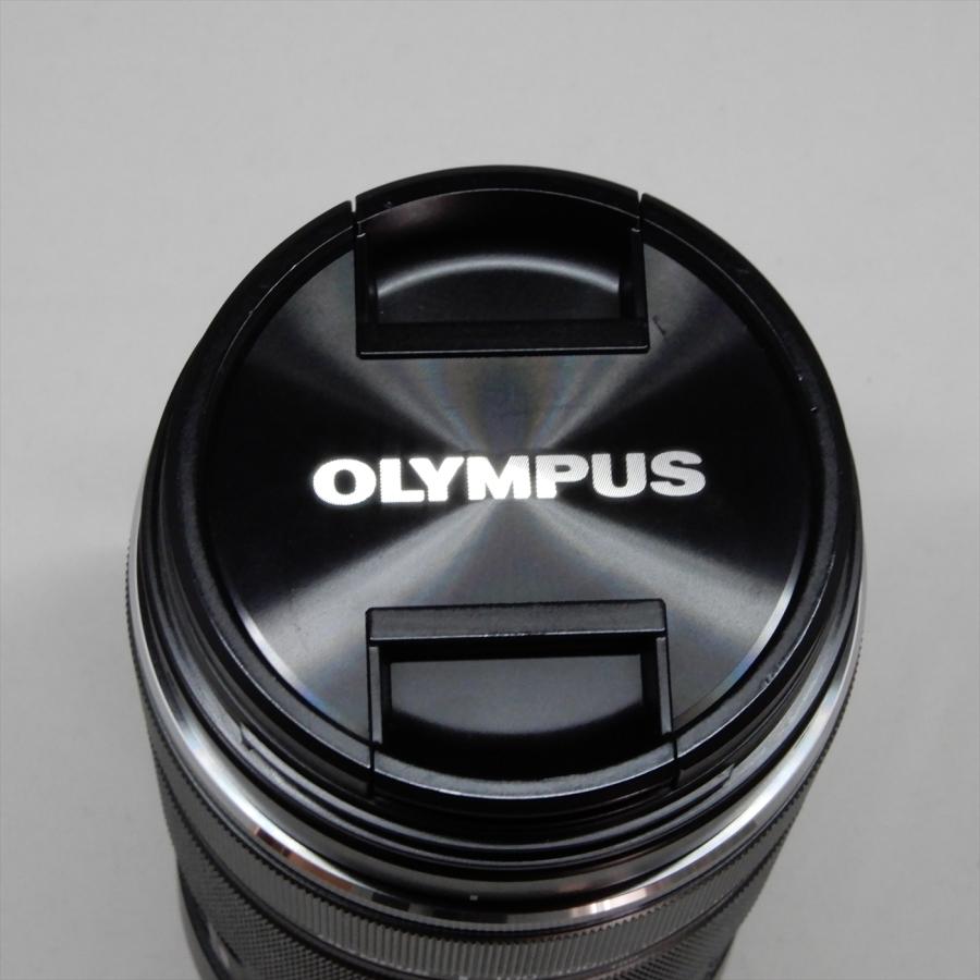 M.ZUIKO OLYMPUS DIGITAL ED 100-400mm F5.0-6.3 IS 超望遠ズーム