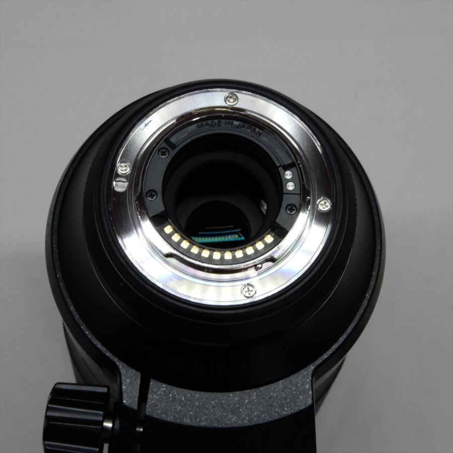 M.ZUIKO OLYMPUS DIGITAL ED 100-400mm F5.0-6.3 IS 超望遠ズーム