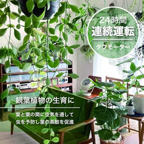 ボルネード　サーキュレーター　10畳 ボルネード サーキュレーター 10畳 レトロ パワフル 省エネ 植物