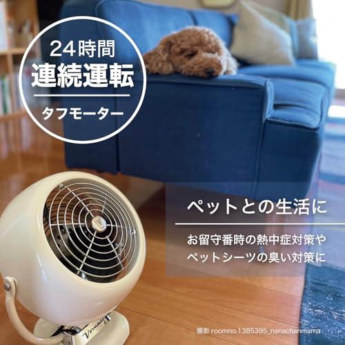 ボルネード　サーキュレーター　10畳 ボルネード サーキュレーター 10畳 レトロ パワフル 省エネ 植物