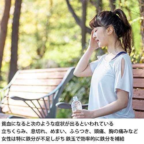 高木金属工業(Takagi Metal) 高木金属 漬物の色付けや 鉄分補給ができる 鉄玉 ぬか漬け 鉄分補給 日本製 南部鉄器 鉄びん NZ-TB |  | 04