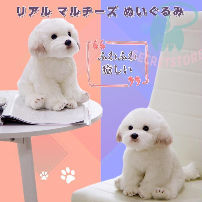 マルチーズ ぬいぐるみ 61jb8r5ApNL.jpg_BO30,255,255,
