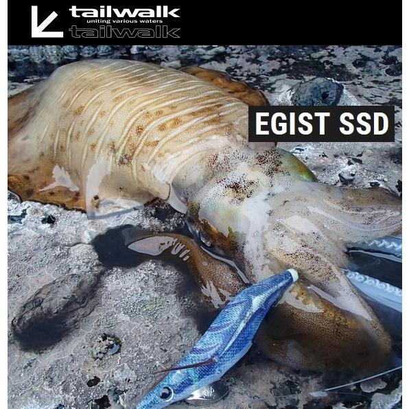 tailwalk（テイルウォーク） エギスト SSD 80ML : 釣具屋