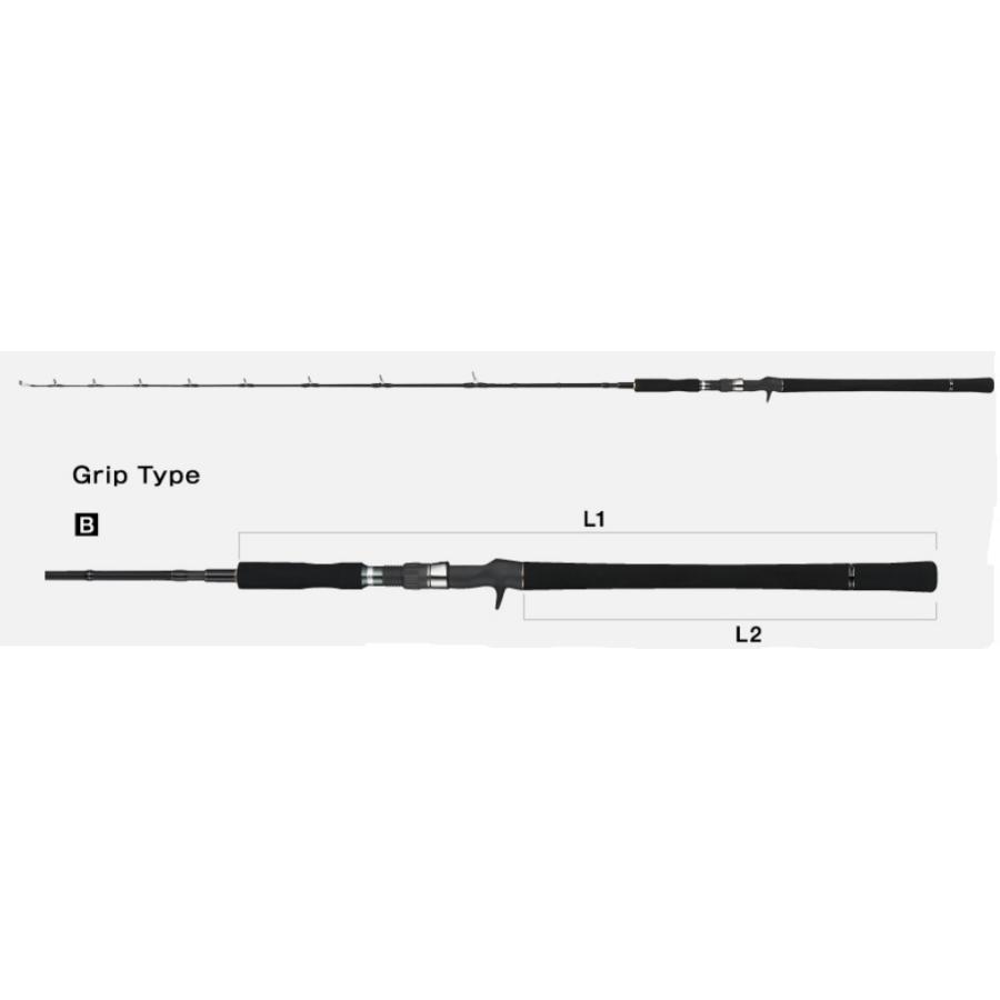 tailwalk（テイルウォーク） ジグフォースSSD C602 : 釣具屋