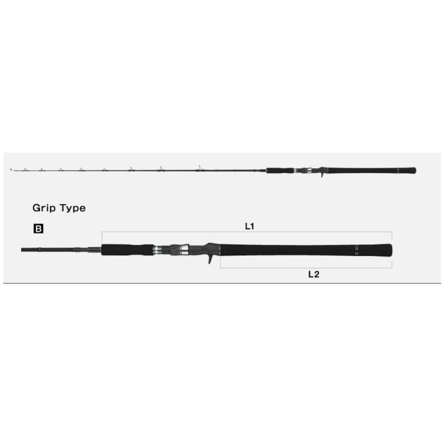 tailwalk（テイルウォーク） ジグフォースSSD C604 : 釣具屋