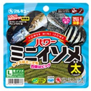 【青イソメ】 SUPER 青虫（青イソメ）