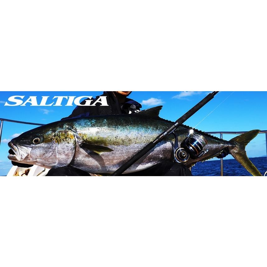 ダイワ ソルティガ エアポータブル J56S−6 ソルティガ