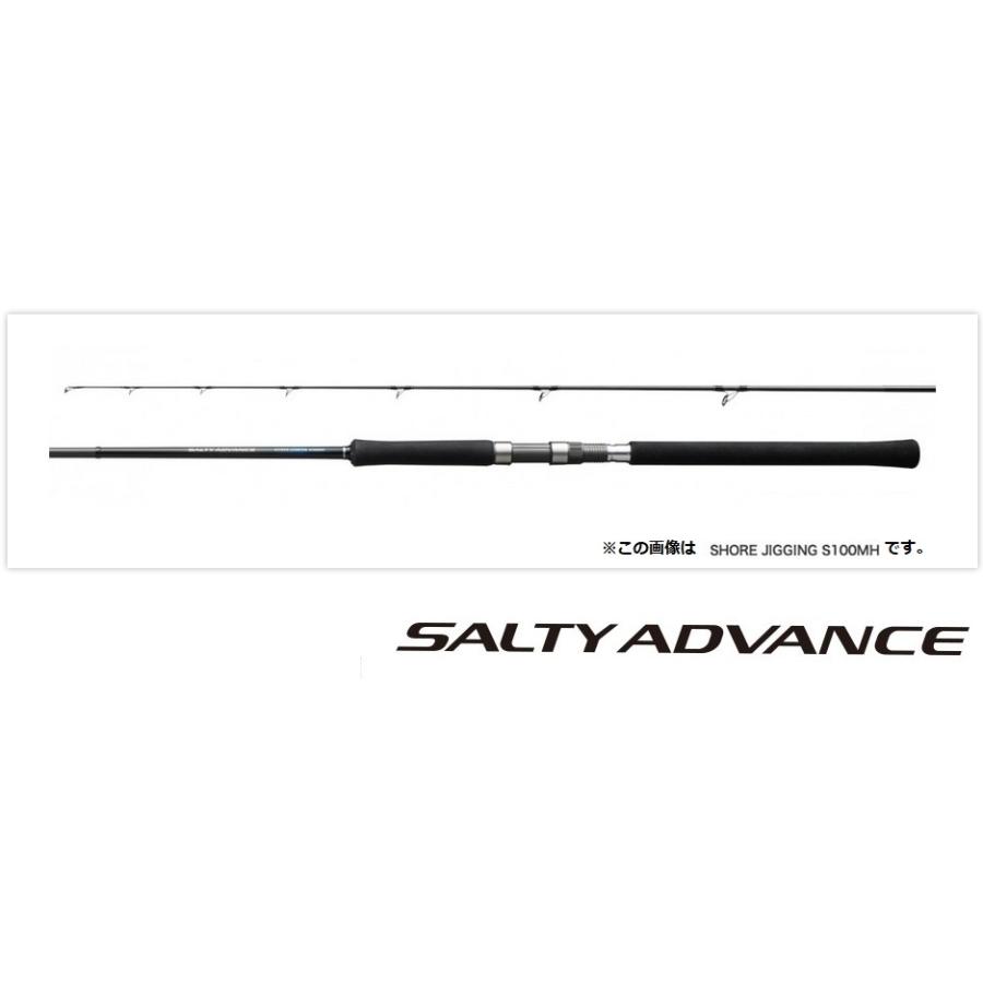 シマノ（SHIMANO） 19 ソルティアドバンス ショアジギング
