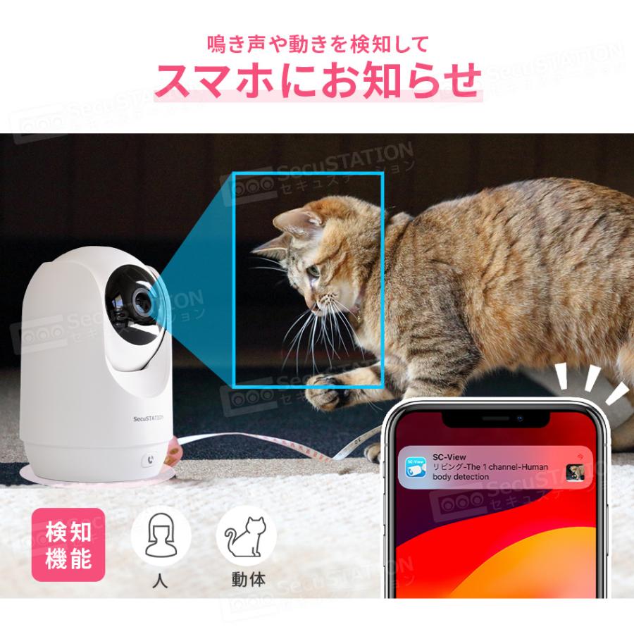 【SD32GB+ステッカー2枚セット】見守りカメラ 防犯カメラ 夜間撮影 動作検知 介護 ペット 自動追跡 スマホ対応 カメまるD DC53(B) 白 | SecuSTATION | 15